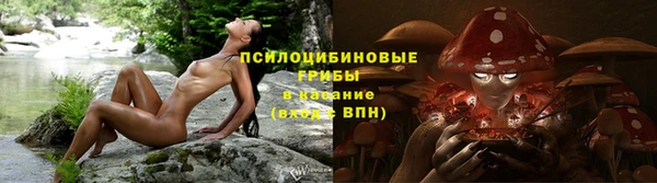 каннабис Новозыбков