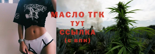 гидра Алагир