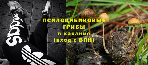 прущие крисы Новодвинск