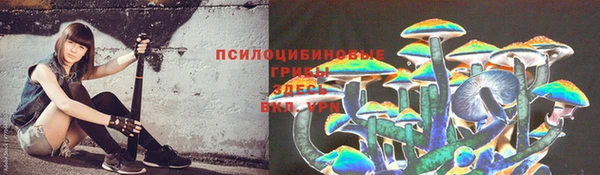 шишки Аксай